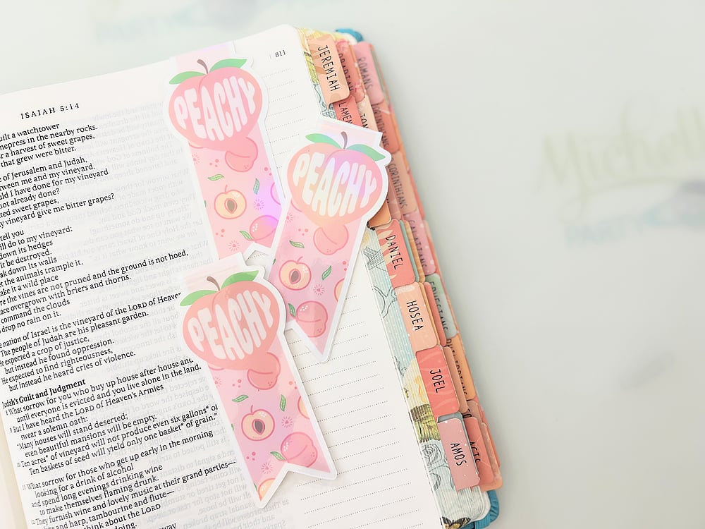 Michelles Party Plan IT peachy-magnetic-bookmarks